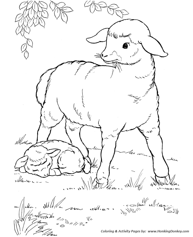 Farm Animal Coloring Pages | Mother Sheep Coloring Page and Kids Activity  sheet | HonkingDonkey