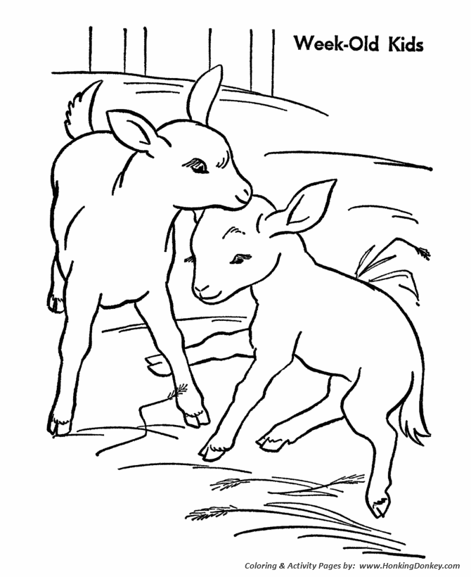 Farm animal coloring page Goat | Goat Kids
