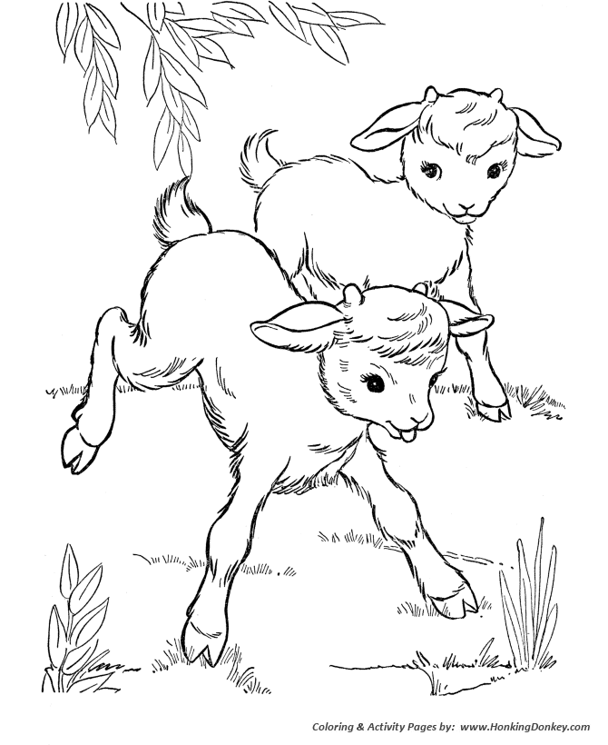 Farm Animal Coloring Pages | Printable Baby goats Coloring Page and