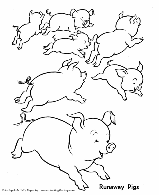 Farm animal coloring page | Wild Runaway Pigs
