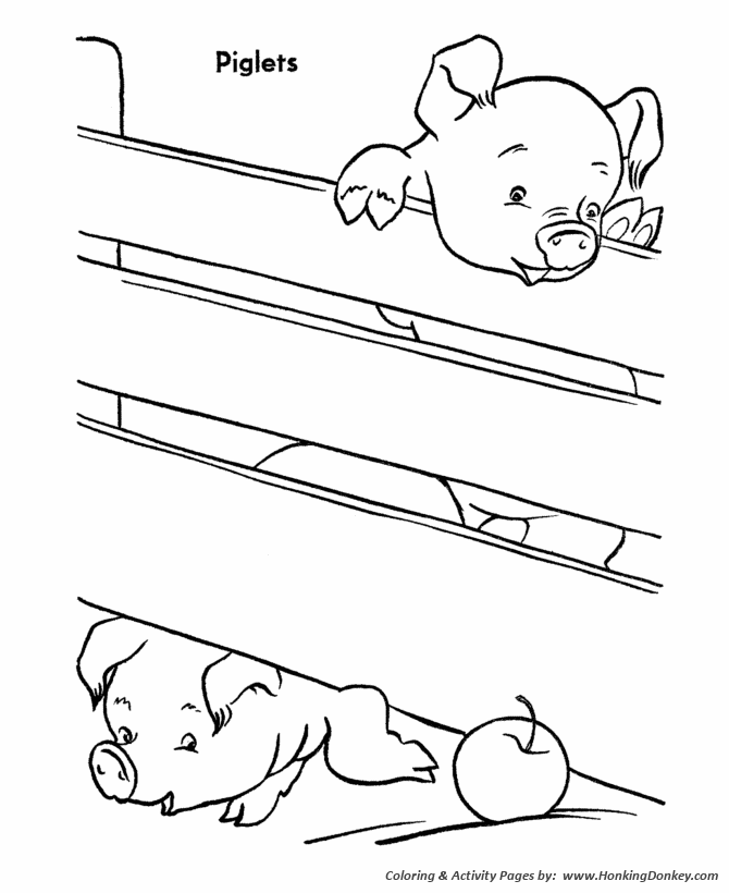 Farm animal coloring page | Pigs climb over fence