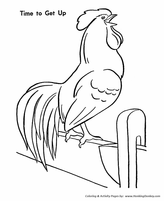 Farm animal chicken coloring page | Morning Rooster crows