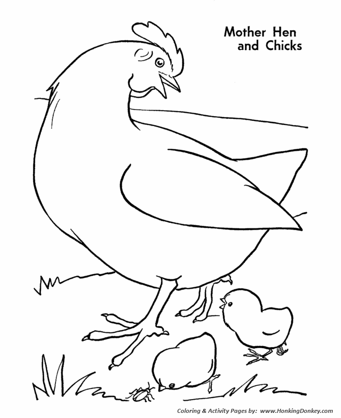Farm animal chicken coloring page | Mother hen Chicken
