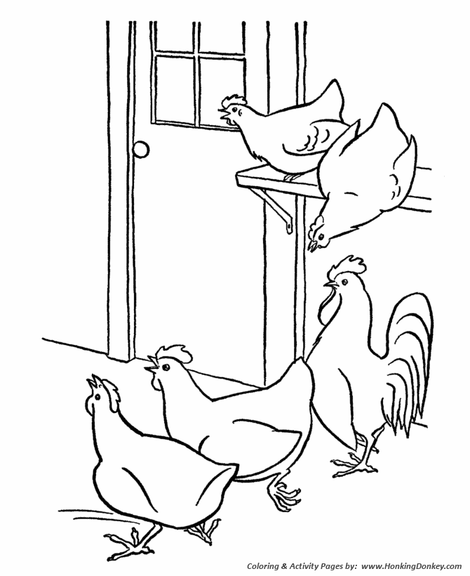 Farm animal chicken coloring page | Chicken