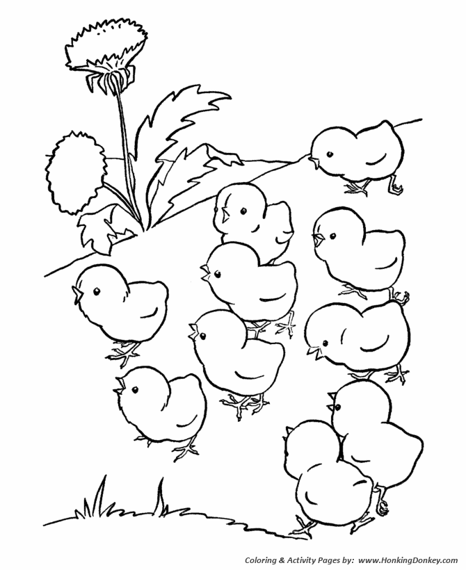 Farm animal chicken coloring page | baby chicks out for a walk
