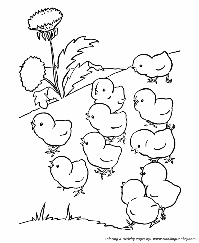 baby farm animal free coloring pages - photo #30