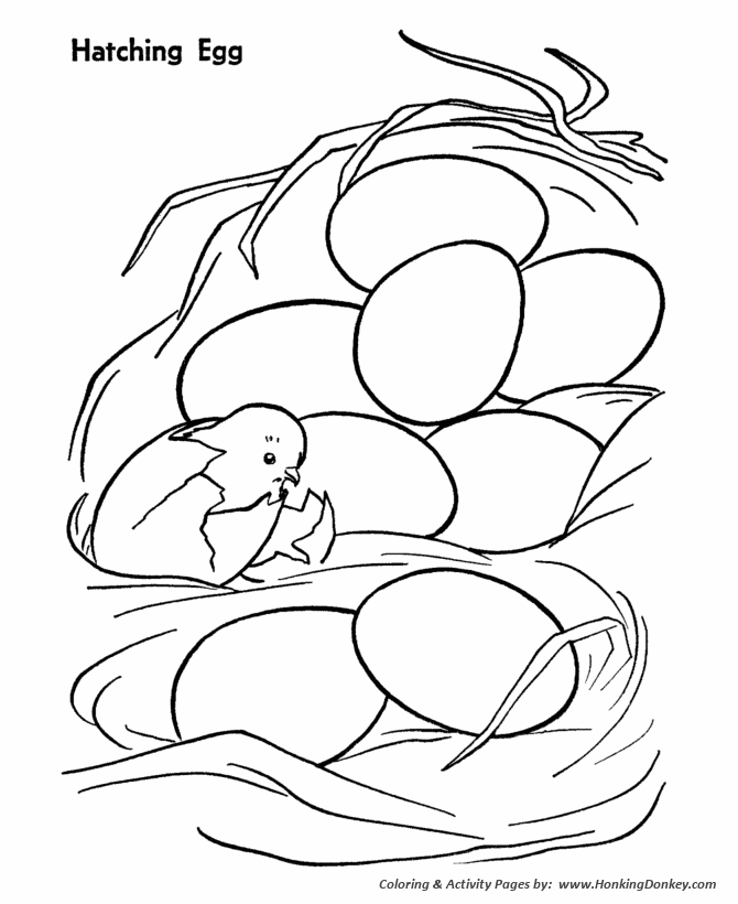 baby chick hatching coloring page