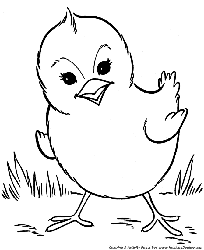 Farm animal chicken coloring page | Spring baby chick