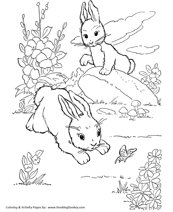 Farm Animal Coloring Pages | Printable Wild rabbits play Coloring Page