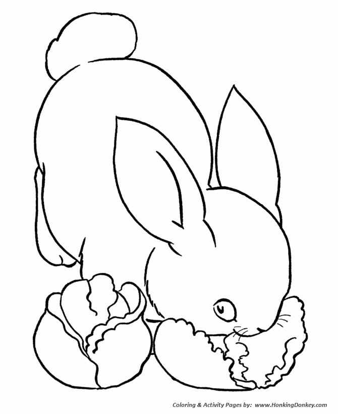 Farm animal coloring page | Bunny rabbit eating lettuce