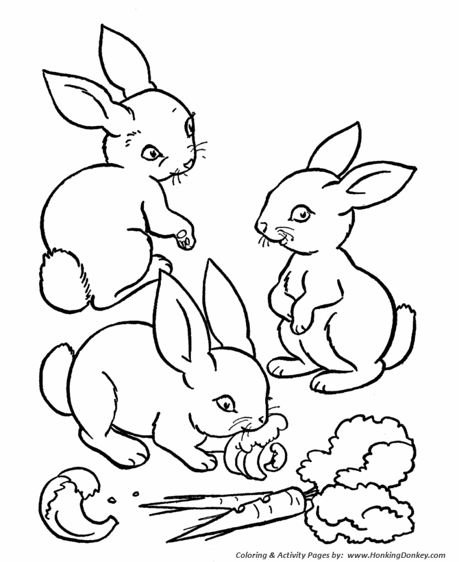 Farm animal coloring page | Rabbits eating carrots