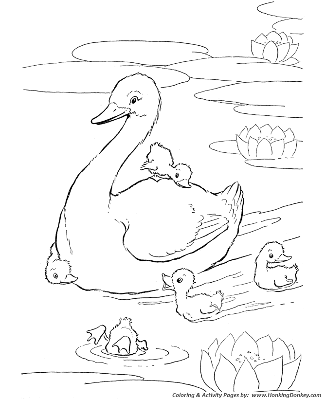 Farm animal coloring page | Ducks in the pond