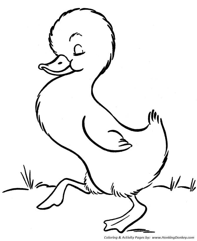 Farm animal coloring page | Cute little baby duckling