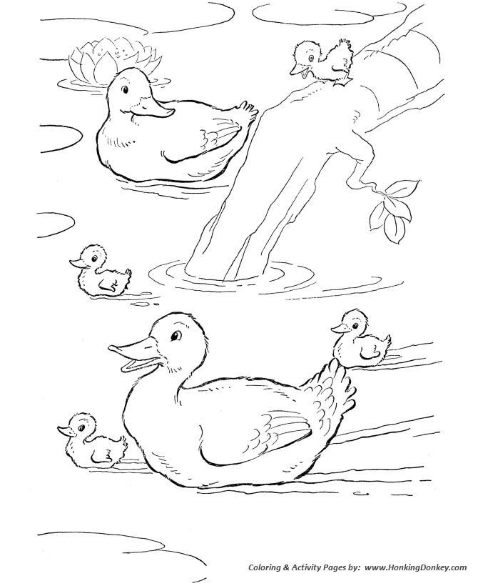 Farm animal coloring page | Ducks swimming in the farm pond