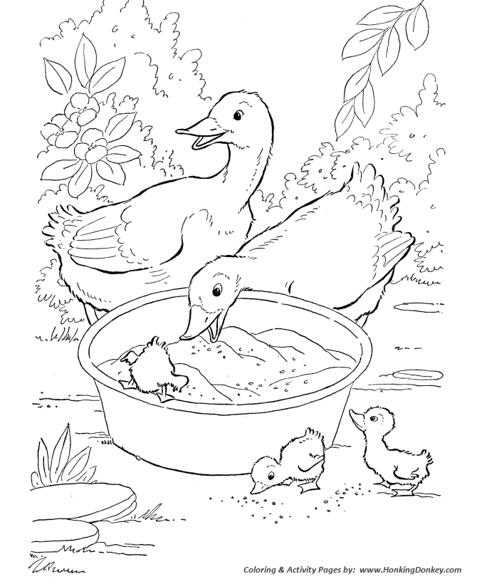 Farm animal coloring page | Ducks eating grain