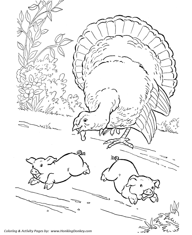 Farm animal coloring page | Barnyard Turkey