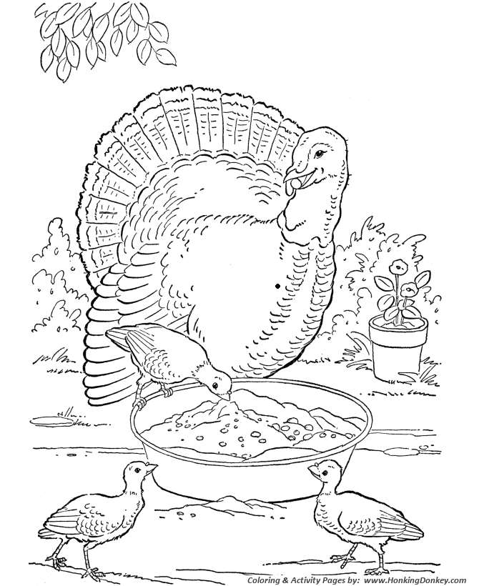 Farm animal coloring page | Farm Turkey