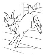 Farm Animal Coloring Pages