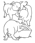 Pigs Coloring Pages