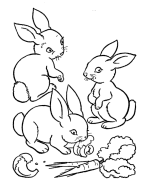 Rabbits Coloring Pages