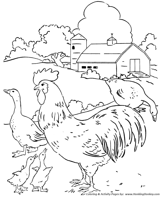 Farm scenes coloring page | Farm Scene - Chickens and geese in the barn yard