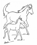 Horse Coloring Pages - Mare and her Colt in the pasture 