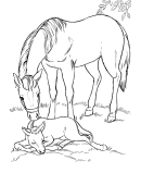 Horse Coloring Page Sheets - mother horse and her sleeping colt