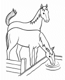 Horse Coloring Page Sheets - Horses at water trough
