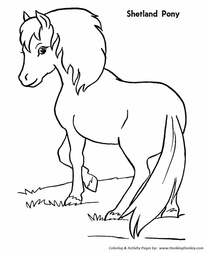 Horse coloring page | Shetland Pony