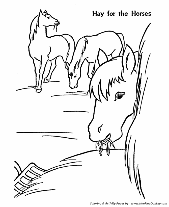 Horse coloring page | Hay is for horses