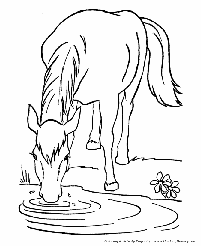 Horse coloring page | Lead a horse to water