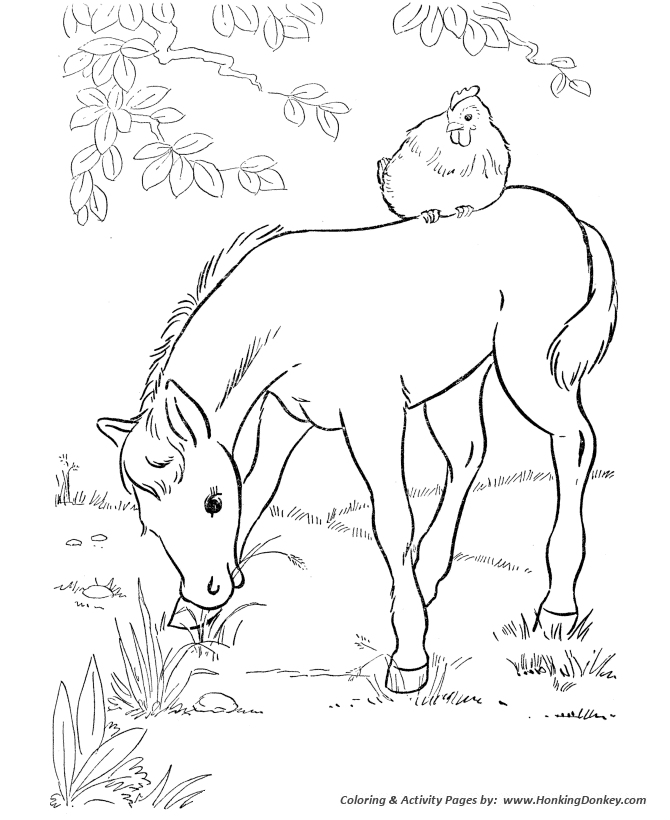 Horse coloring page | Foal eating grass