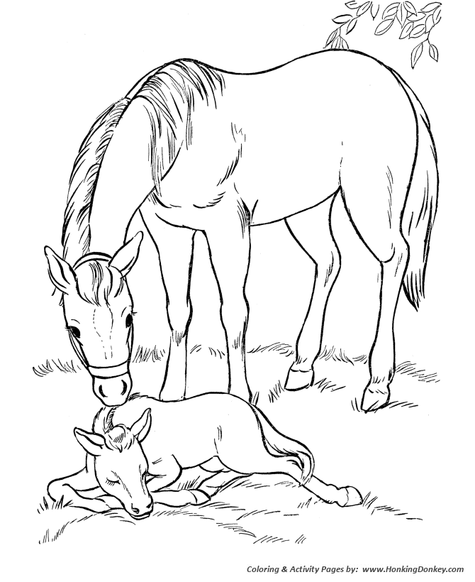 Horse coloring page | Mare and her sleeping foal