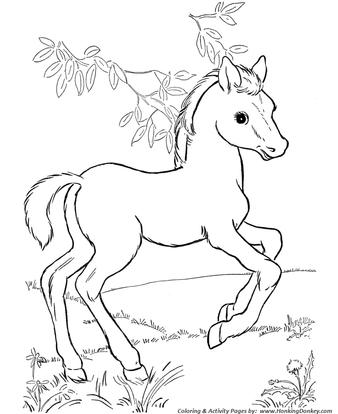Horse coloring page | Young foals play in the pasture