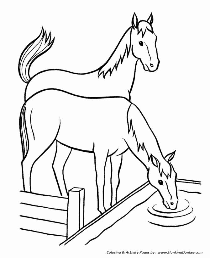 Horse coloring page | Horses at water trough