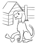 House Pets - Animal Coloring Pages