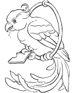 Pet Bird Coloring Page