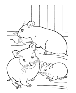 Pet hamster Coloring Page