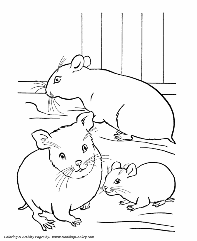 Pet hamster Coloring page