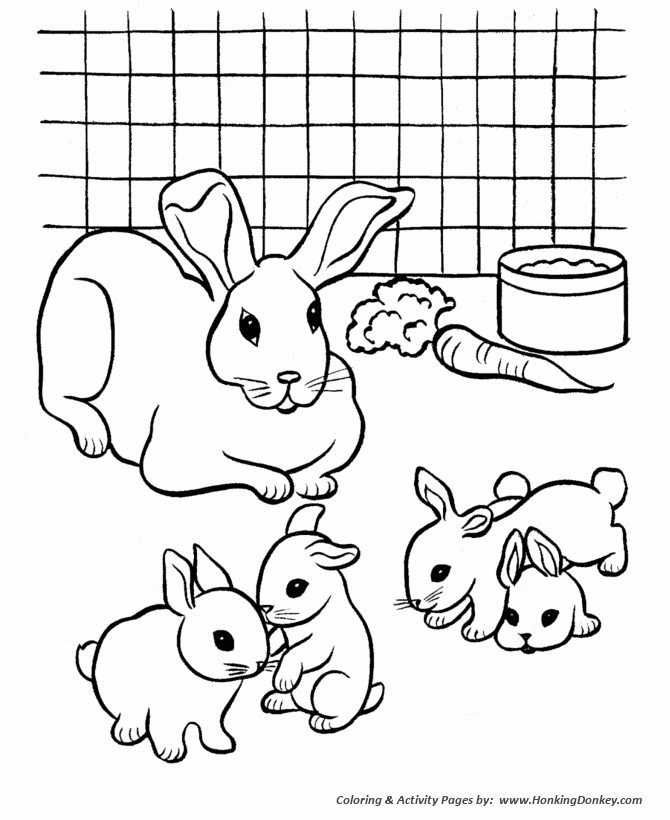 Rabbit Pets coloring page | Rabbits in a cage