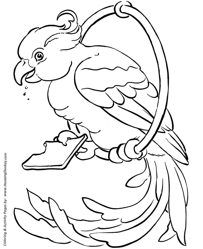 Pet Bird Coloring | Bird on a ring