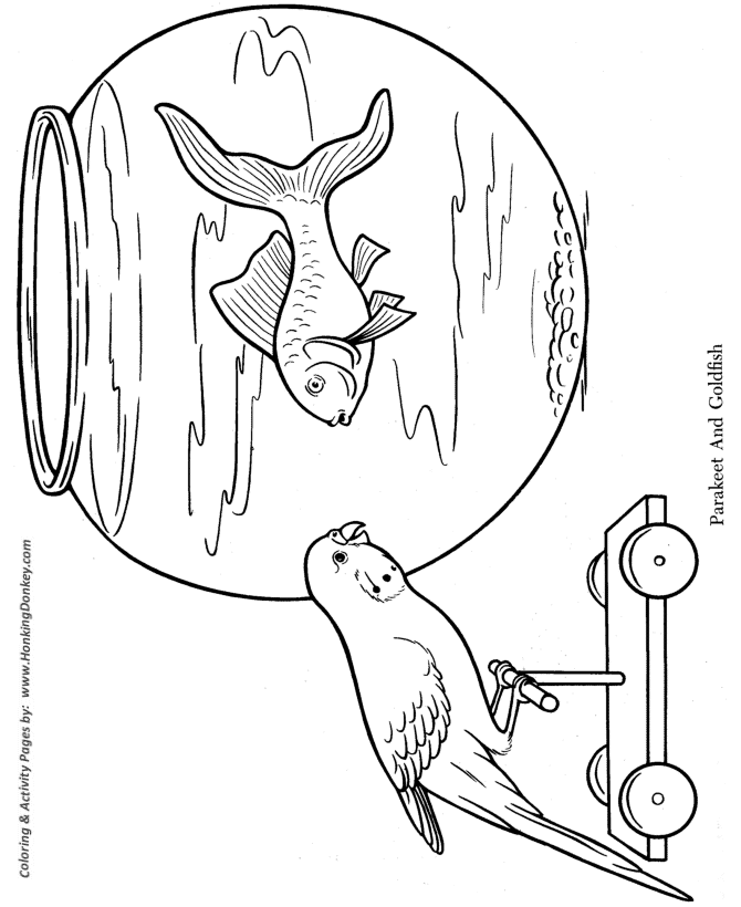 Pet Coloring page | Parakeet and GoldFish