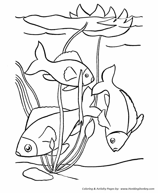 Pet Fish Coloring Pages | Free Printable Tropical Fish Pet Coloring
