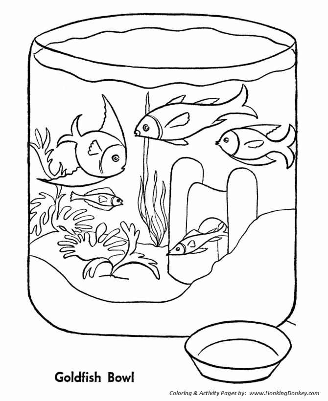 Pet fish Coloring | Gold fish Bowl