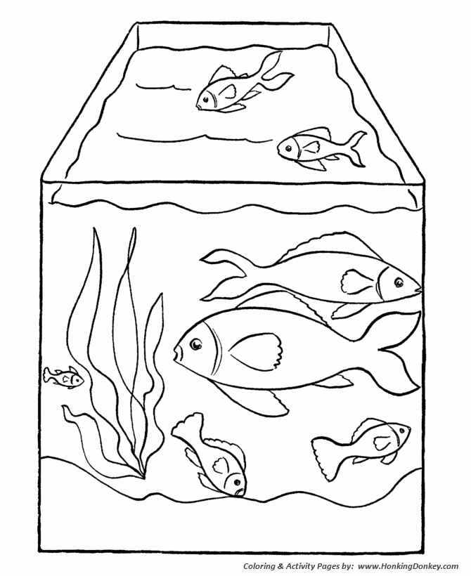 Pet Fish Coloring page | Fish Tank
