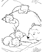 bear coloring pages