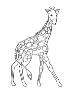 Giraffe Coloring Pages