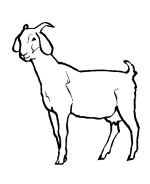 Goat Coloring Pages