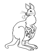 Kangaroo Coloring Pages