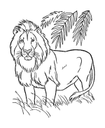 Lion Coloring Pages